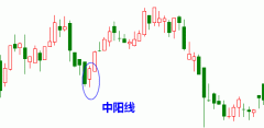 第八节 中阳线