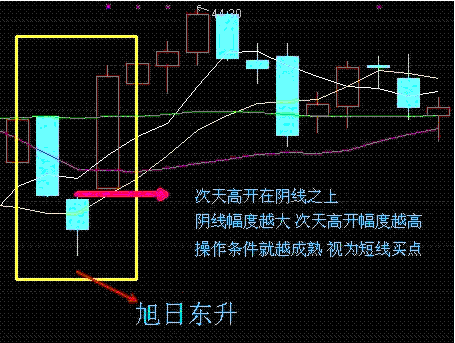 旭日东升