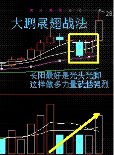 大鹏展翅战法