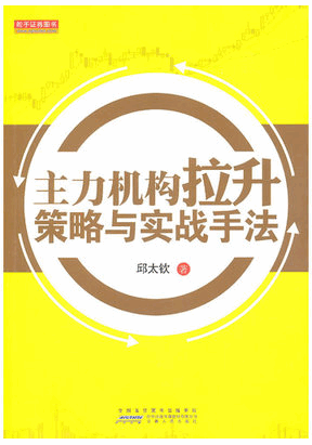 ������������������ʵս�ַ�pdf����