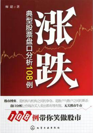 涨跌 典型股票盘口分析108例pdf下载(师建)