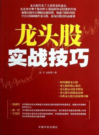 龙头股实战技巧pdf下载