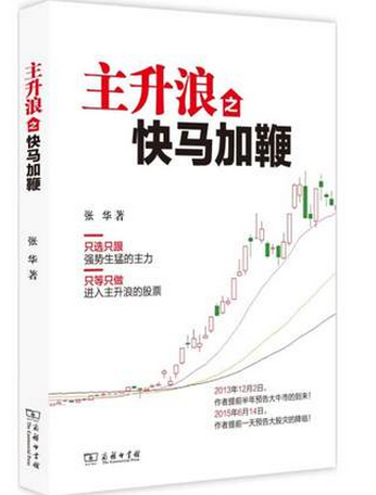 主升浪之快马加鞭pdf下载(张华)