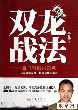 双龙战法 盘口精确买卖点pdf下载/冯矿伟