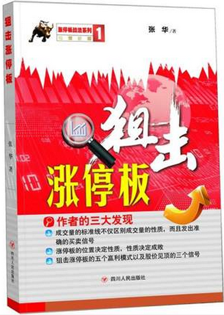 �ѻ���ͣ��pdf����