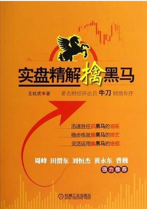 实盘精解擒黑马pdf
