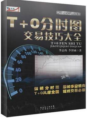 T+0分时图交易技巧大全pdf