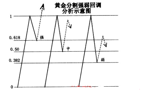 黄金分割