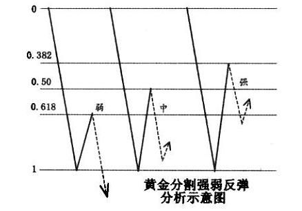 黄金分割