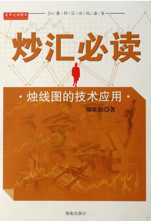 炒汇必读pdf