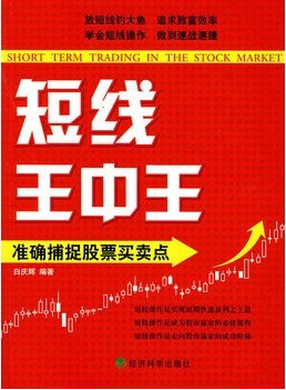 ������������׼ȷ��׽��Ʊ������pdf����