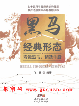 黑马经典形态 看透黑马,精选牛股pdf下载