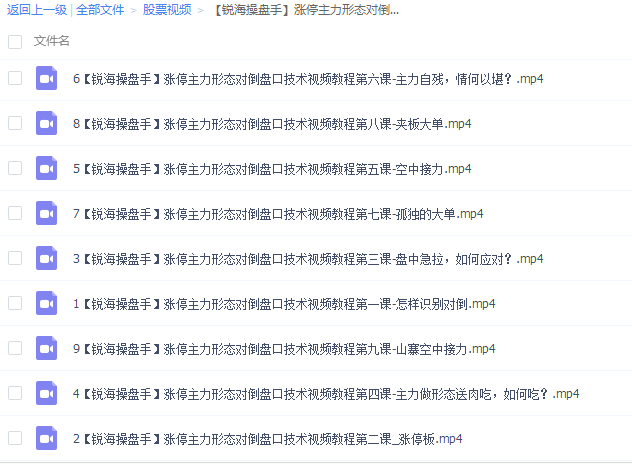 锐海操盘手 涨停主力形态对倒盘口技术视频教程 共9集视频 MP4