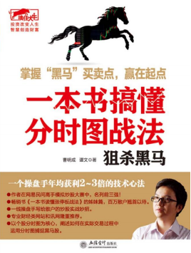 擒住大牛:一本书搞懂分时图战法 狙杀黑马pdf