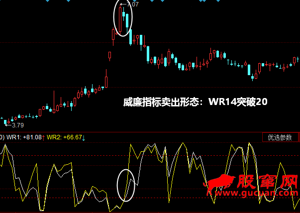 ����ָ��������̬��WR14ͻ��20
