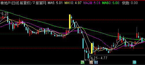 ͨ���Ŵ�������ͼ��ѡ��ָ�깫ʽ