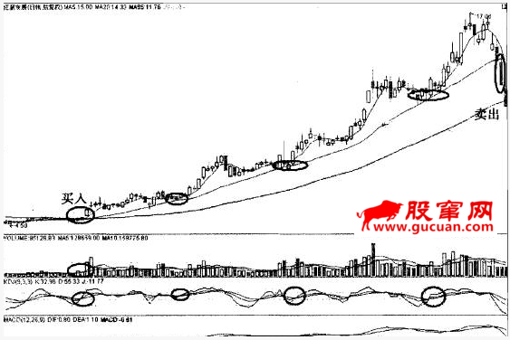 翻倍黑马20日均线战法 20日线猎杀翻倍黑马的经典战例